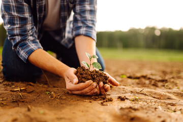 Handful of soil with small green plant, closeup. Farmer checking soil health. New life of young ...