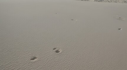 White sand texture background