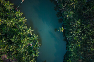 Beautiful backwaters surrounded with coconut trees, Kerala aerial landscape image