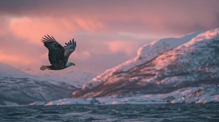 A white tailed eagle flying over the ocean, with snow covered mountains in the background. - Powered by Adobe