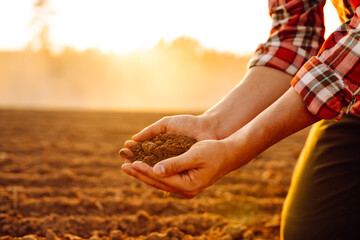 Expert hand of farmer checking soil health before growth a seed of vegetable or plant seedling....