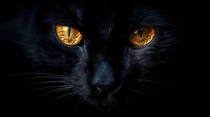 A black cat with yellow eyes is staring at the camera