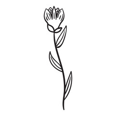 Obraz premium Wildflowers, Floral, Wildflower, flower sketch, Wildflowers, Bouquet, minimalist bouquet, botanical, field plants, floral leaves, branches