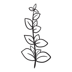 Wildflowers, Floral, Wildflower, flower sketch, Wildflowers, Bouquet, minimalist bouquet, botanical, field plants, floral leaves, branches