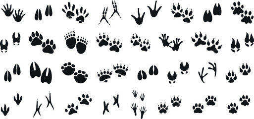 Animals paw prints. Cartoon mammal footprints, black bird foot. Wild animal feet silhouette.