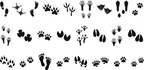 Animals paw prints. Cartoon mammal footprints, black bird foot. Wild animal feet silhouette.