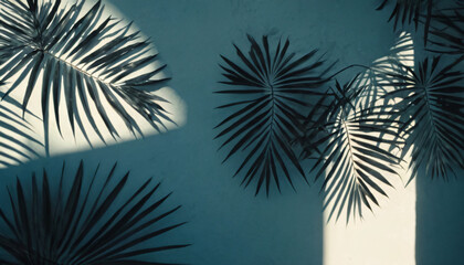 background tropical plants summer dark shadows beach