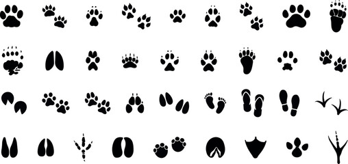 Animals paw prints. Cartoon mammal footprints, black bird foot. Wild animal feet silhouette. © Ayoub