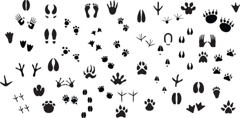 Animals paw prints. Cartoon mammal footprints, black bird foot. Wild animal feet silhouette. © Ayoub