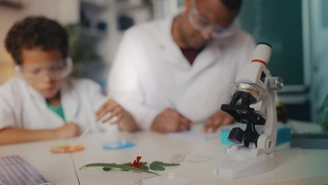 Little boy and his father play scientists, growing bacteria in petri dish