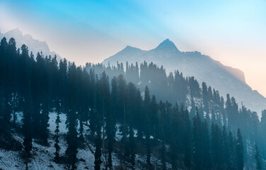 Winter mountain range sunset view from Sonamarg Kashmir, Beautiful snow covered peaks with pine trees