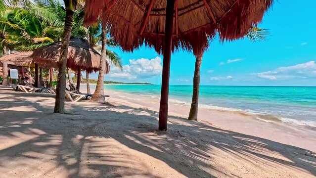 Timelapse of umbrellas, palms and beach chairs on the beach in front of the sea on a sunny day