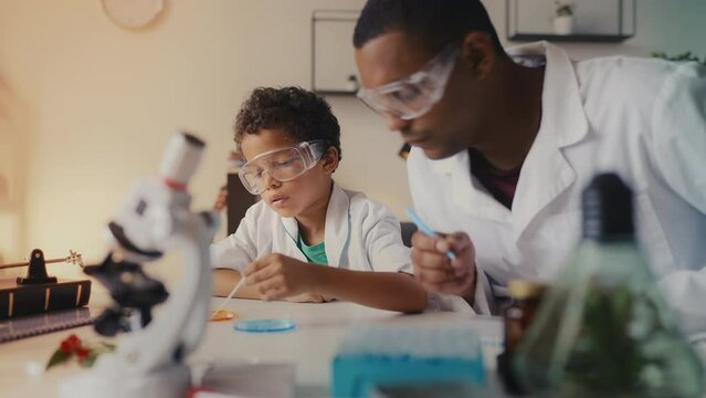 African American boy and dad grow bacteria in a petri dish, conducting lab test