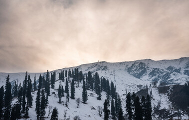 Snow covered mountain range in Gulmarg Kashmir, Sunset view over winter mountain with pine trees on the background