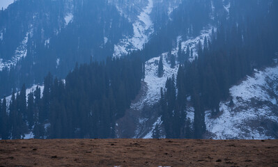 Kashmir mountain valley scenery, Snow covered mountain range with pine tress