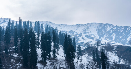 Kashmir nature landscape scenery, Winter snow mountain view with pine trees, India travel and tourism concept photo