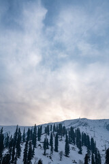 Snow mountain range in Gulmarg Kashmir, Vertical landscape scenery of winter mountain with trees
