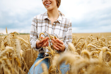 Wheat quality check. Woman Farmer with ears of wheat in a wheat field. Harvesting. Agribusiness....