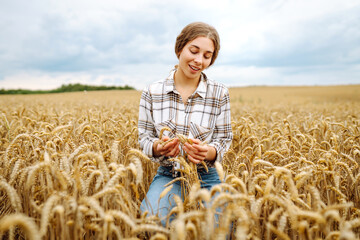 Wheat quality check. Woman Farmer with ears of wheat in a wheat field. Harvesting. Agribusiness....
