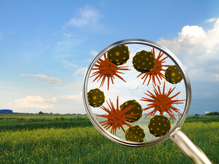 Magnifying lens with simulated allergen, germs, seasonal allergies concept. Wild fields with herbs,...