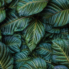 Seamless green leaves background, 3d realistic pattern, wallpaper design. Generative ai
