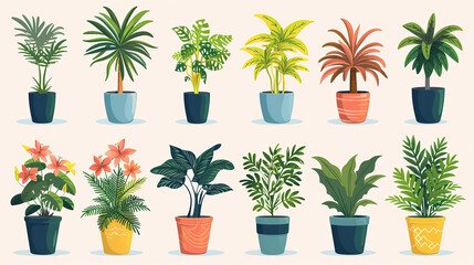 Set of green house plants, flowers and trees in pots for decoration