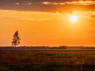 Beautiful landscape panorama at sunset, Poland