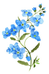 there is a watercolor painting of a blue flower on a white background
