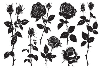 Set of black silhouettes of decorative fresh blossoming rose with steam and leaves. Hand drawn outline flower icon. Vector monochrome illustrations isolated on white background