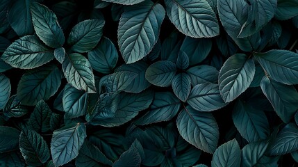 Close up photo of dark green leaves in a flat lay photography style
