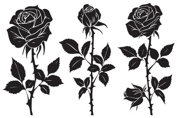Set of black silhouettes of decorative fresh blossoming rose with steam and leaves. Hand drawn outline flower icon. Vector monochrome illustrations isolated on white background