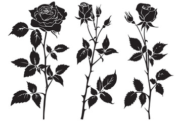 Set of three vector black silhouettes of rose flowers isolated on a white background. Minimalist hand drawn sketch. Vector stock illustration