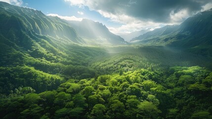 Naklejka premium The breathtaking aerial perspective showcases a lush forest nestled among majestic mountains against a backdrop of serene natural beauty