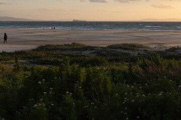 Spanish coastline at sunset with beach and summer vegetation with person walking on sand next to...