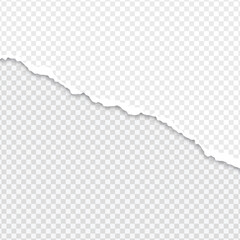 Torn Paper on Transparent Background