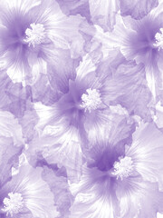 floral purple pattern background