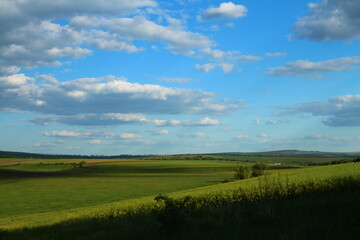A grassy field with a blue sky