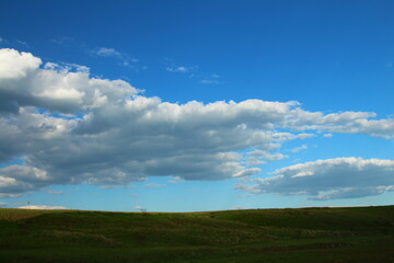 A grassy field with blue sky and clouds