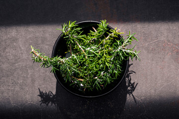 Rosemary twigs in bowl with moody light and shadows