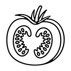 Tomato and tomatoes, love apple. Vegetable, fruit, food and meal, illustration