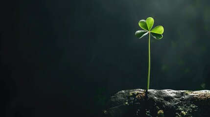 Mockup of an artful design featuring a clover on an empty card against a black backdrop