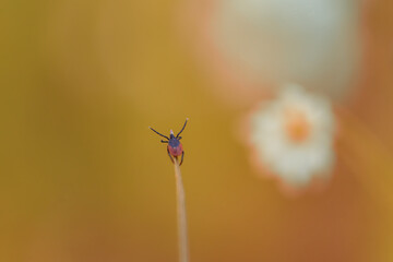 natural wonders in detail and in the sky