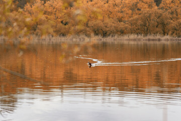 wild nature on different days