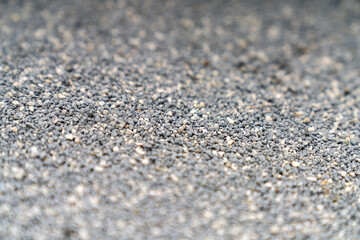 Cat litter granules close up. The texture of granular toilet filler. Cat litter in granules box. active carbon. texture pattern. Clean Cat litter in a litter tray. Background of white bentonite fresh 