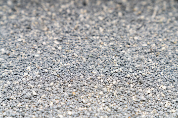 Cat litter granules close up. The texture of granular toilet filler. Cat litter in granules box. active carbon. texture pattern. Clean Cat litter in a litter tray. Background of white bentonite fresh 