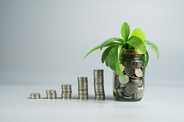 Investment and saving funds increasing rate concept, financial market growth and development with plants growing out of a glass jar full of coins. Gray isolated background copy space.