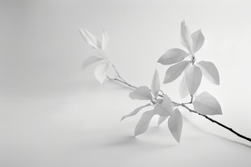 Black and white photo featuring a branch covered in leaves, A monochromatic piece showcasing the beauty of simplicity on a smooth white backdrop