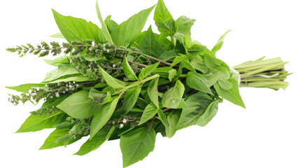 fresh spinach leaves isolated dicut PNG on transparent or white background cut out, copy space 