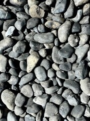 Ornate Decorative Ornament