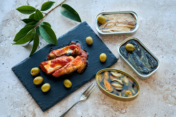 Cans of preserves and sardines with tomato